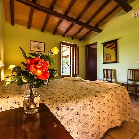 Podere Del Gesso Villa Tarquinia Buitenkant foto